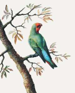 Lorem ipsum dolor sit amet 4